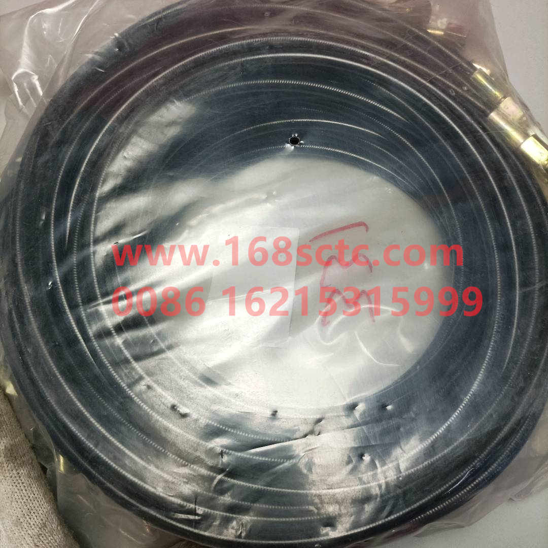 WG9719820206*