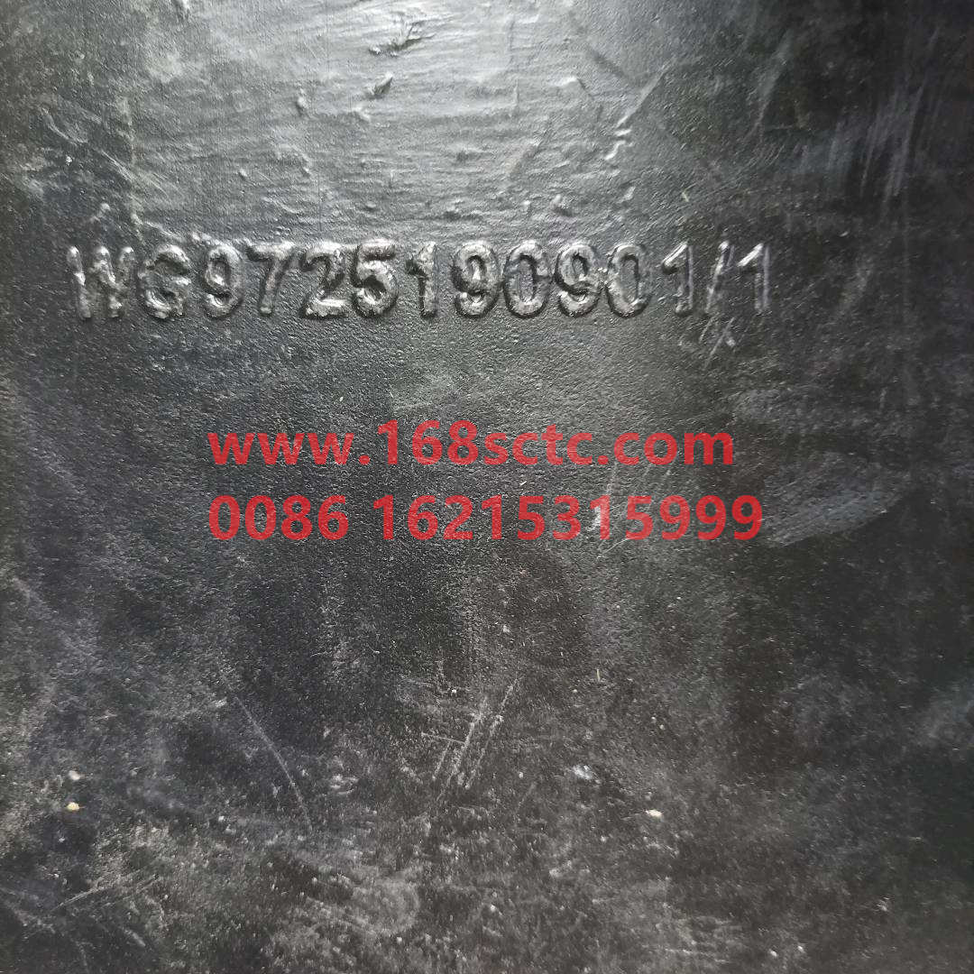 WG9725190901*