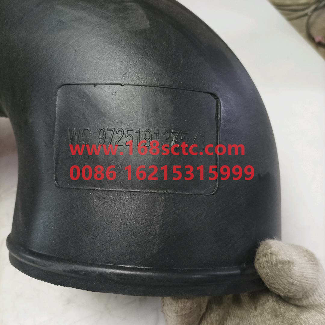 WG9725191375