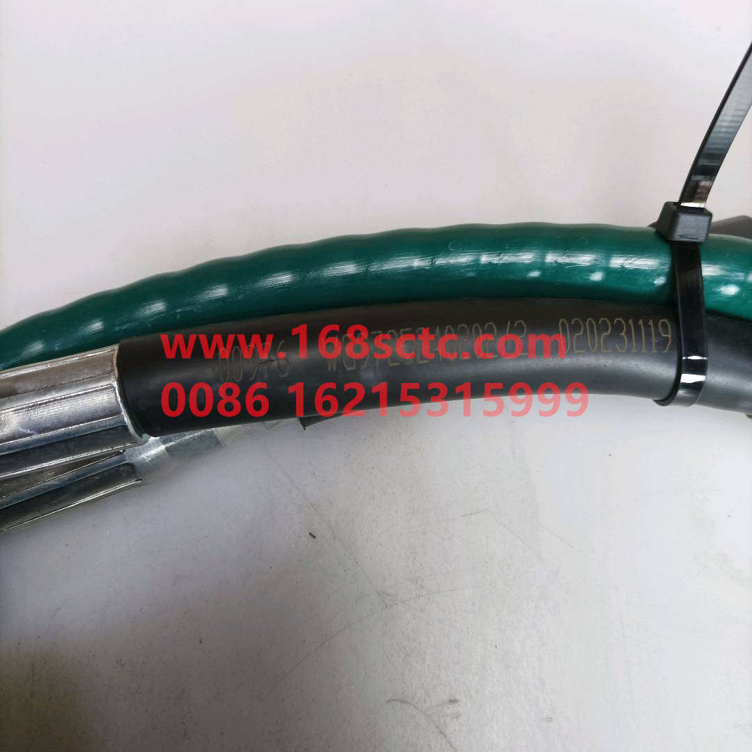 WG9725240202*