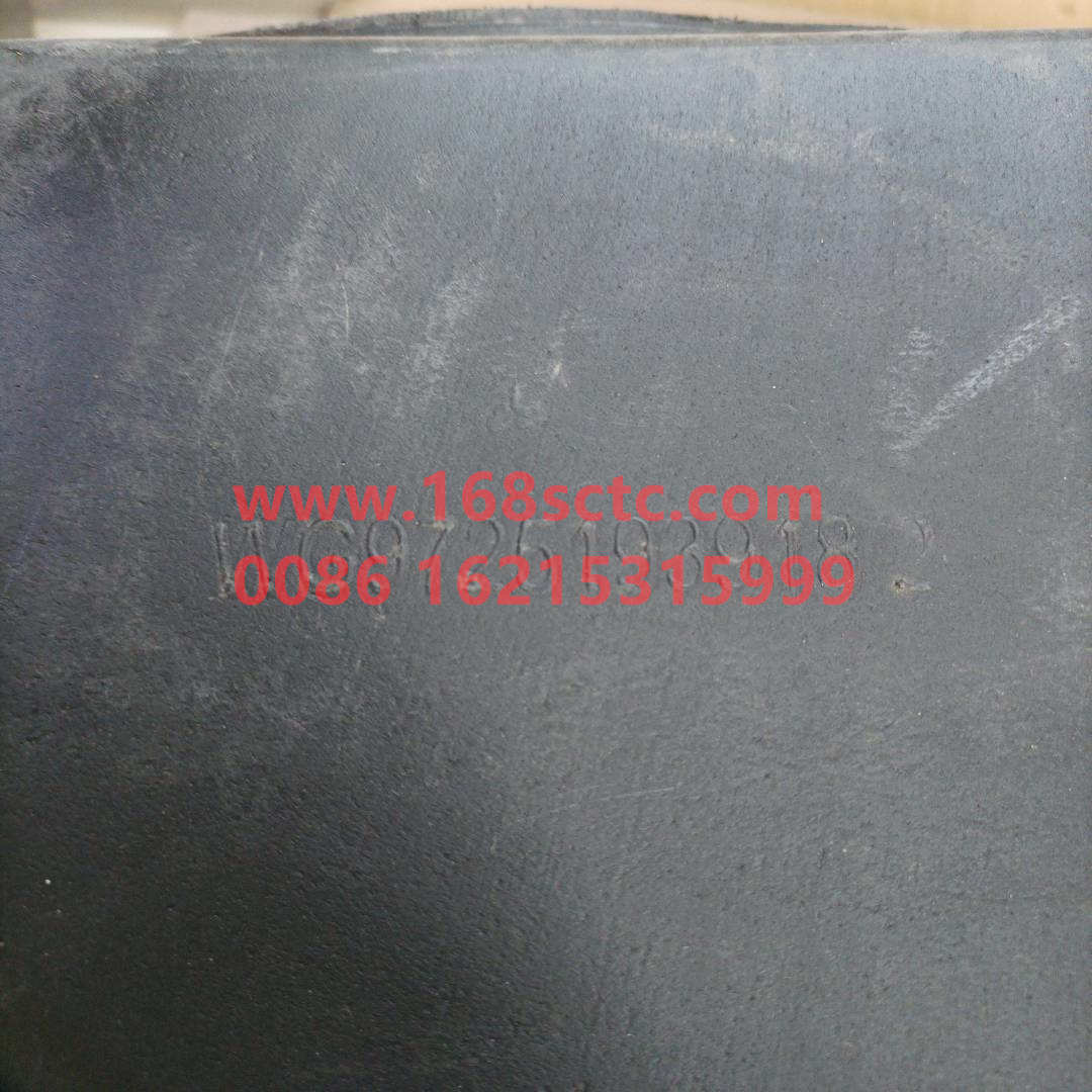 WG9725193918