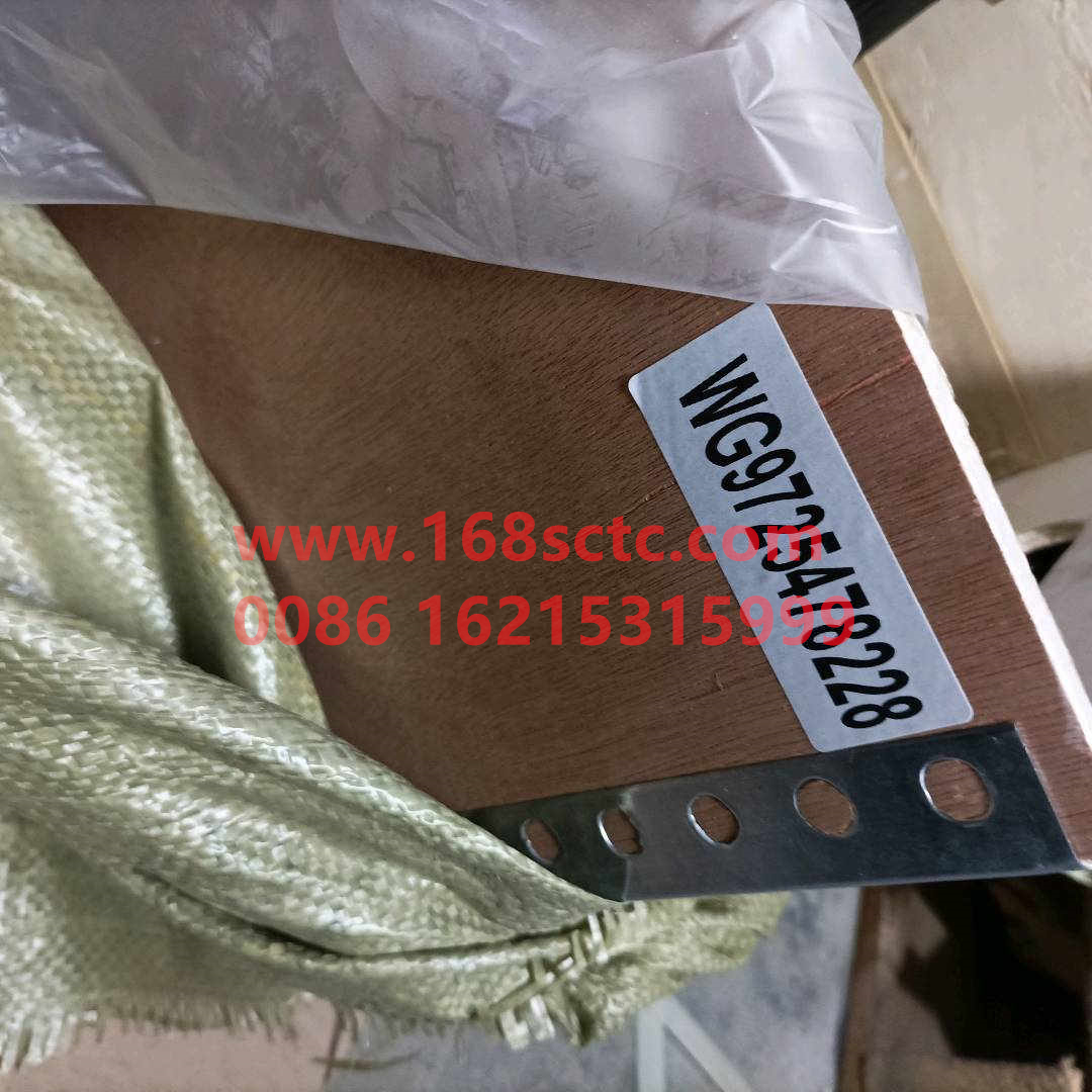 WG9725478228