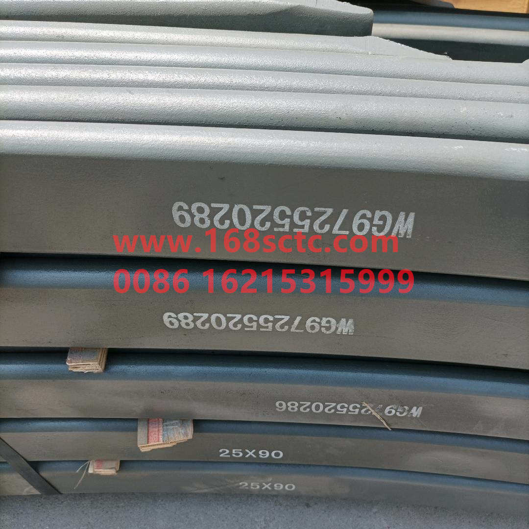 WG9725520289