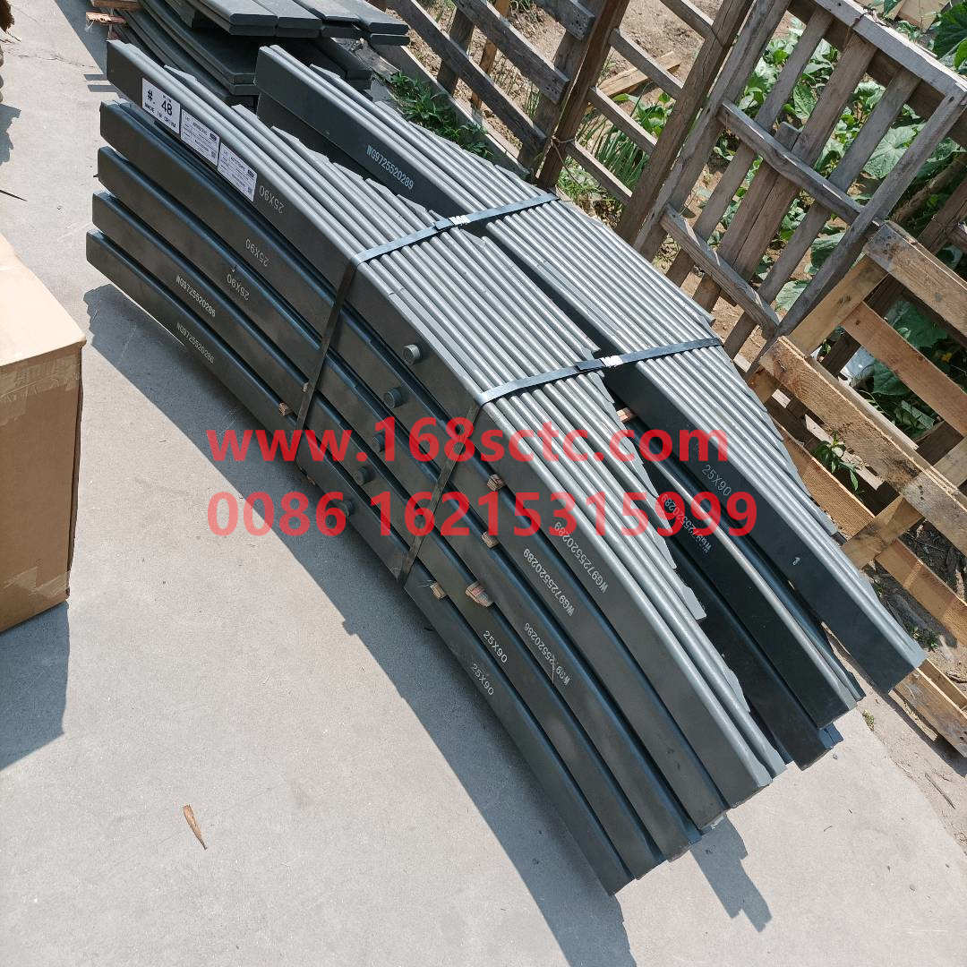 WG9725520289