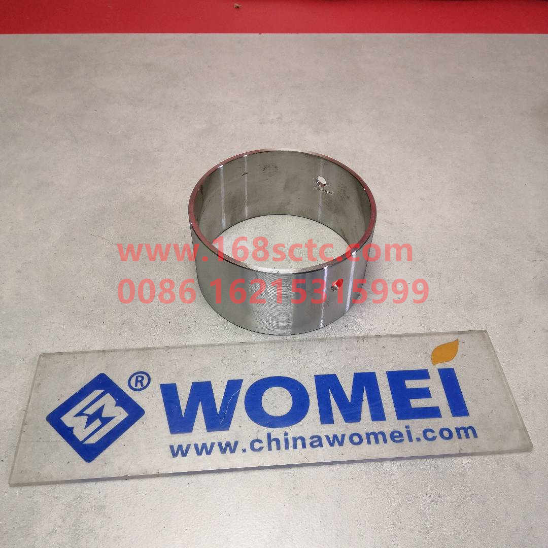 WG9725520238