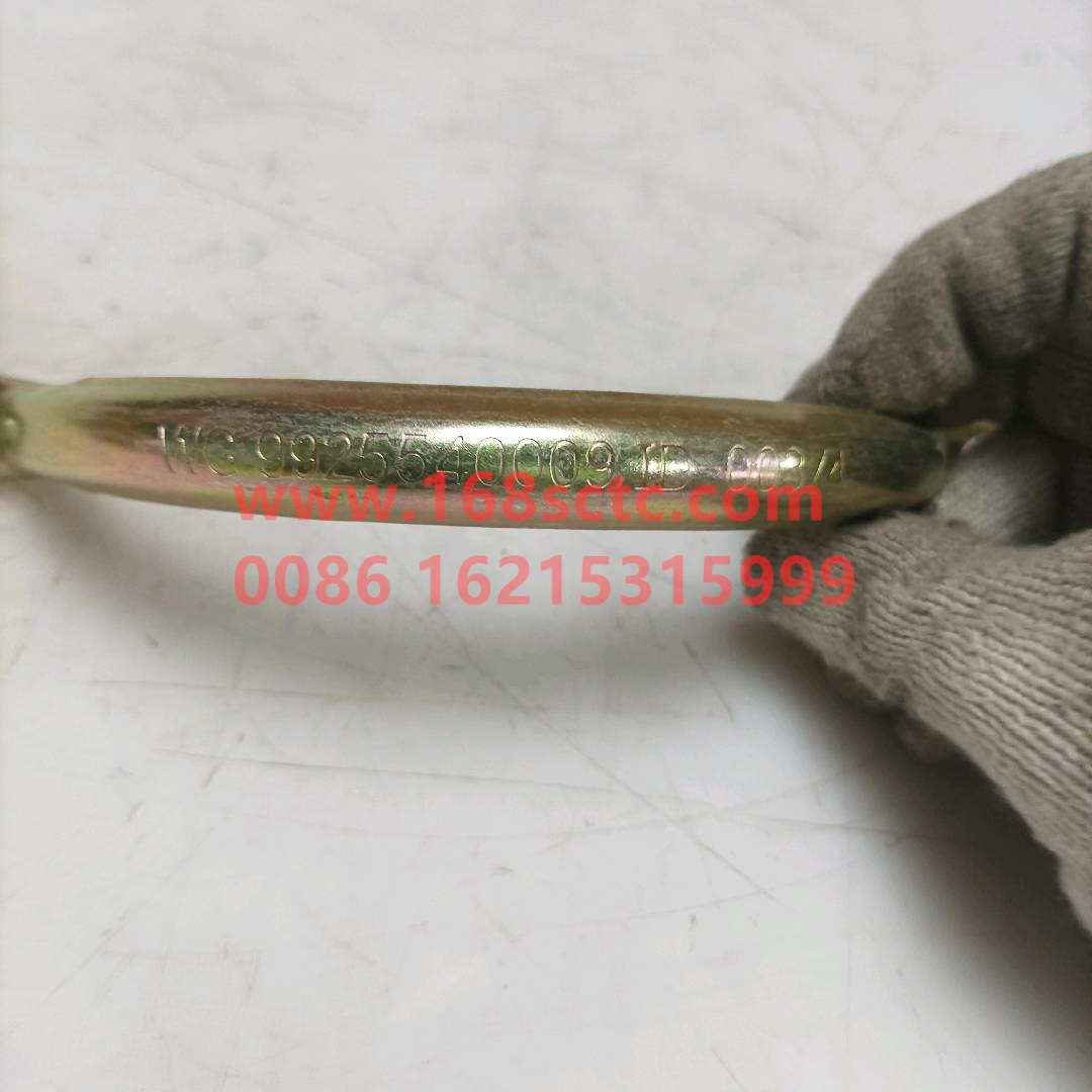 WG9725540009·