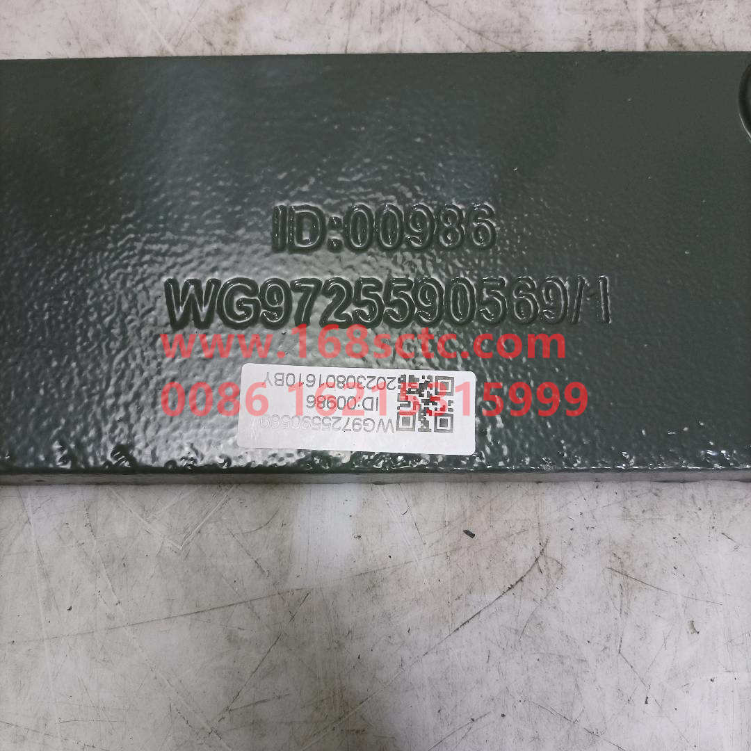 WG9725590569