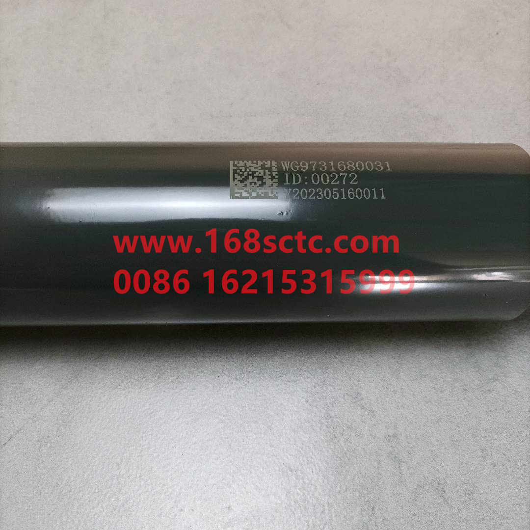 WG9731680031·