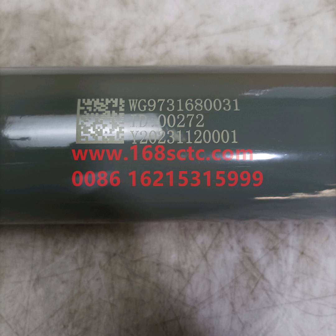 WG9731680031·