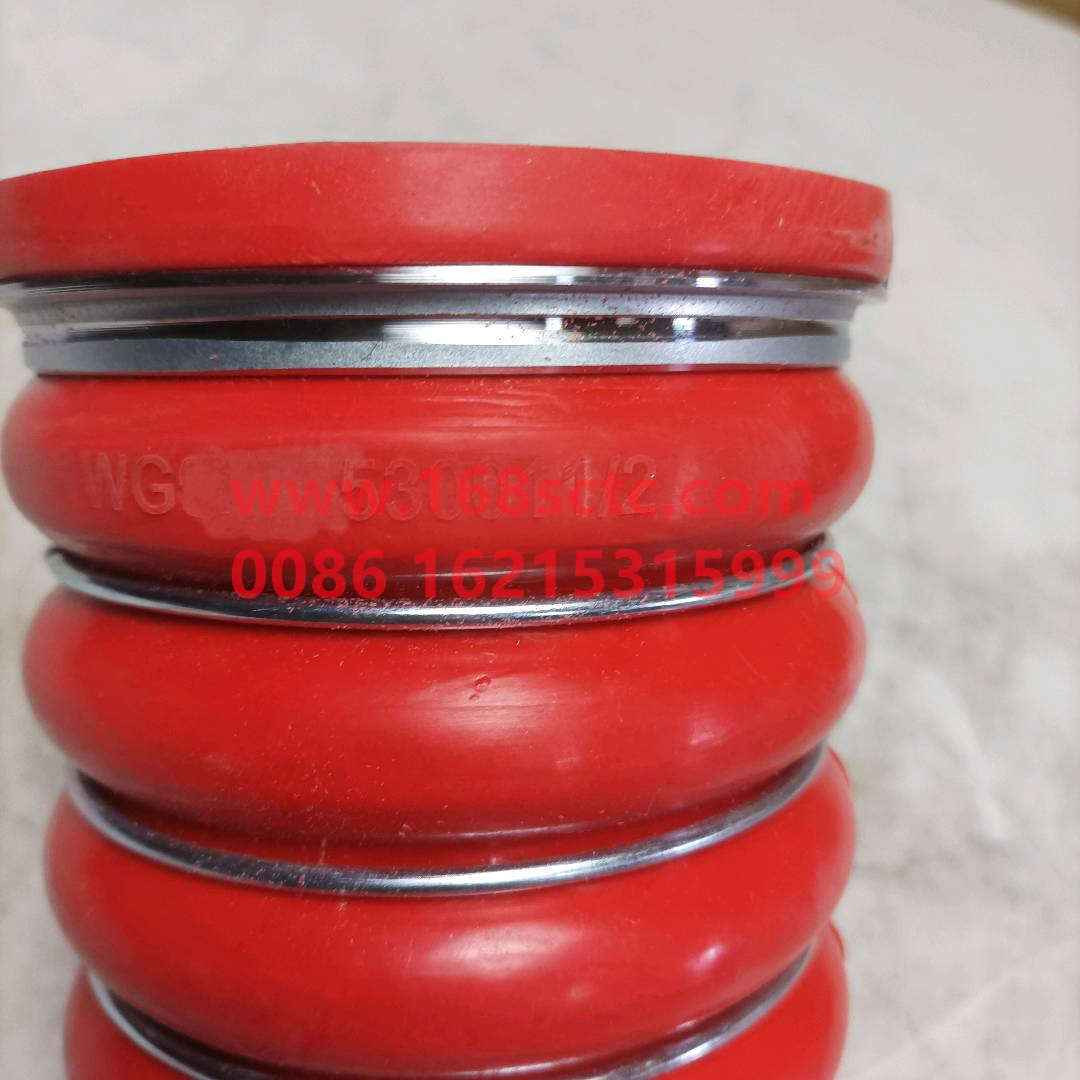 WG9730530011·