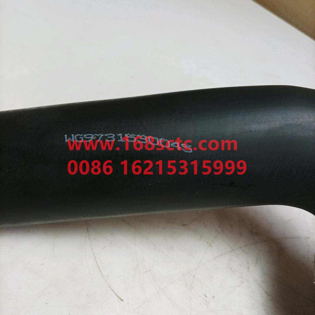 WG9731530045