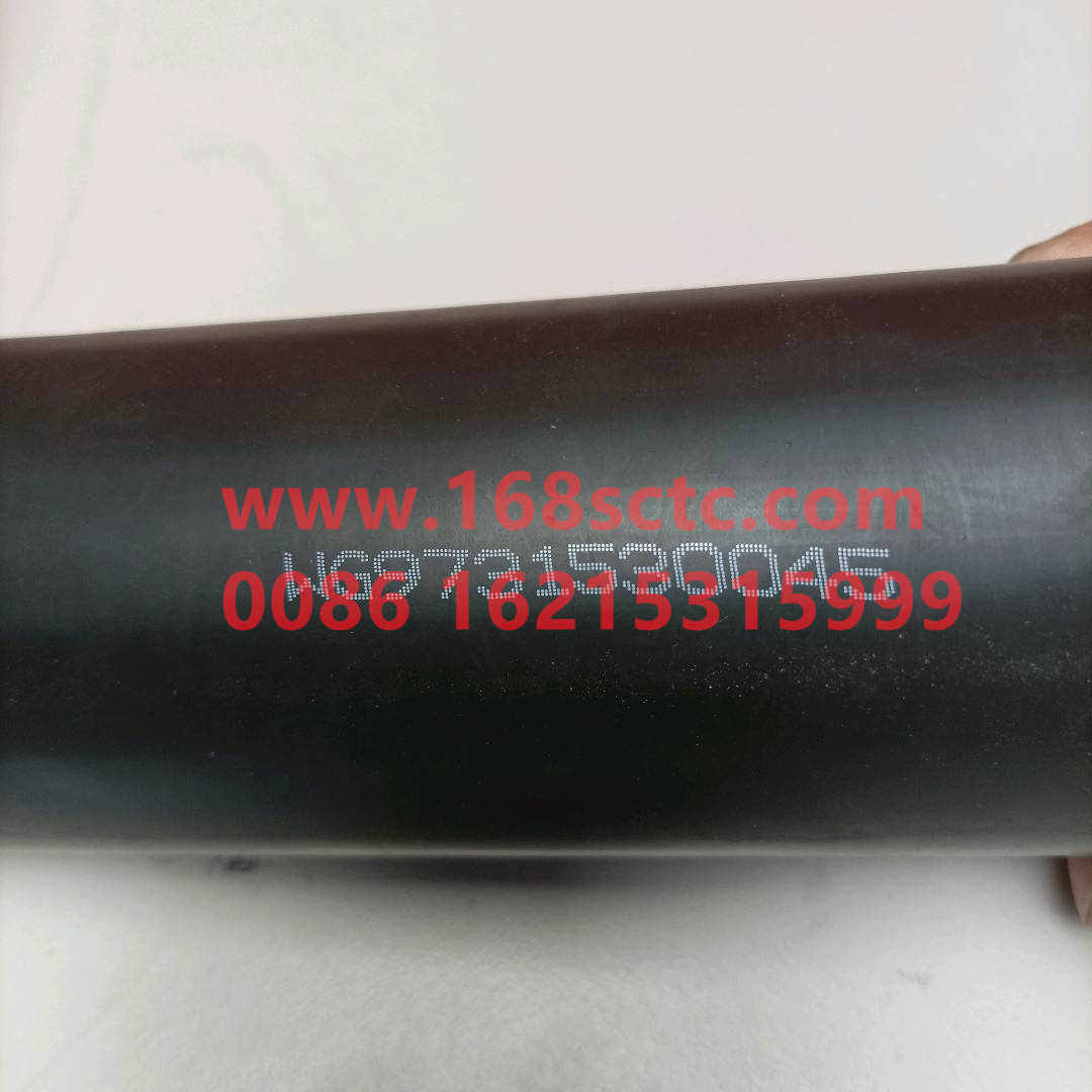 WG9731530045