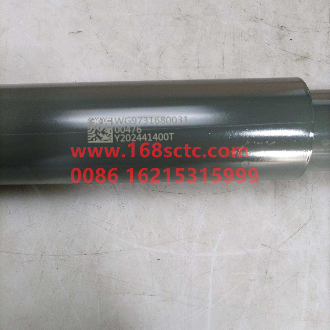 WG9731680031·