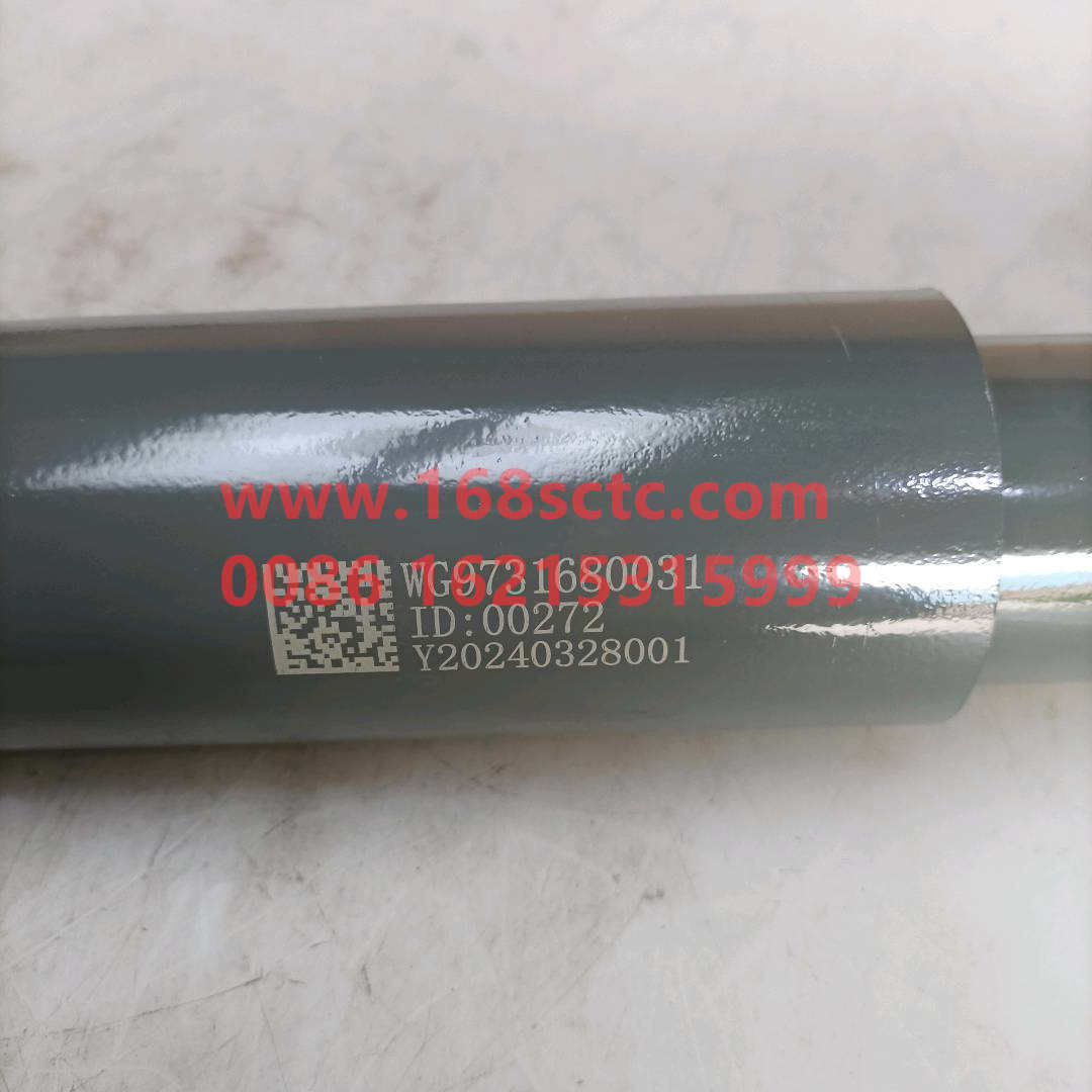 WG9731680031·