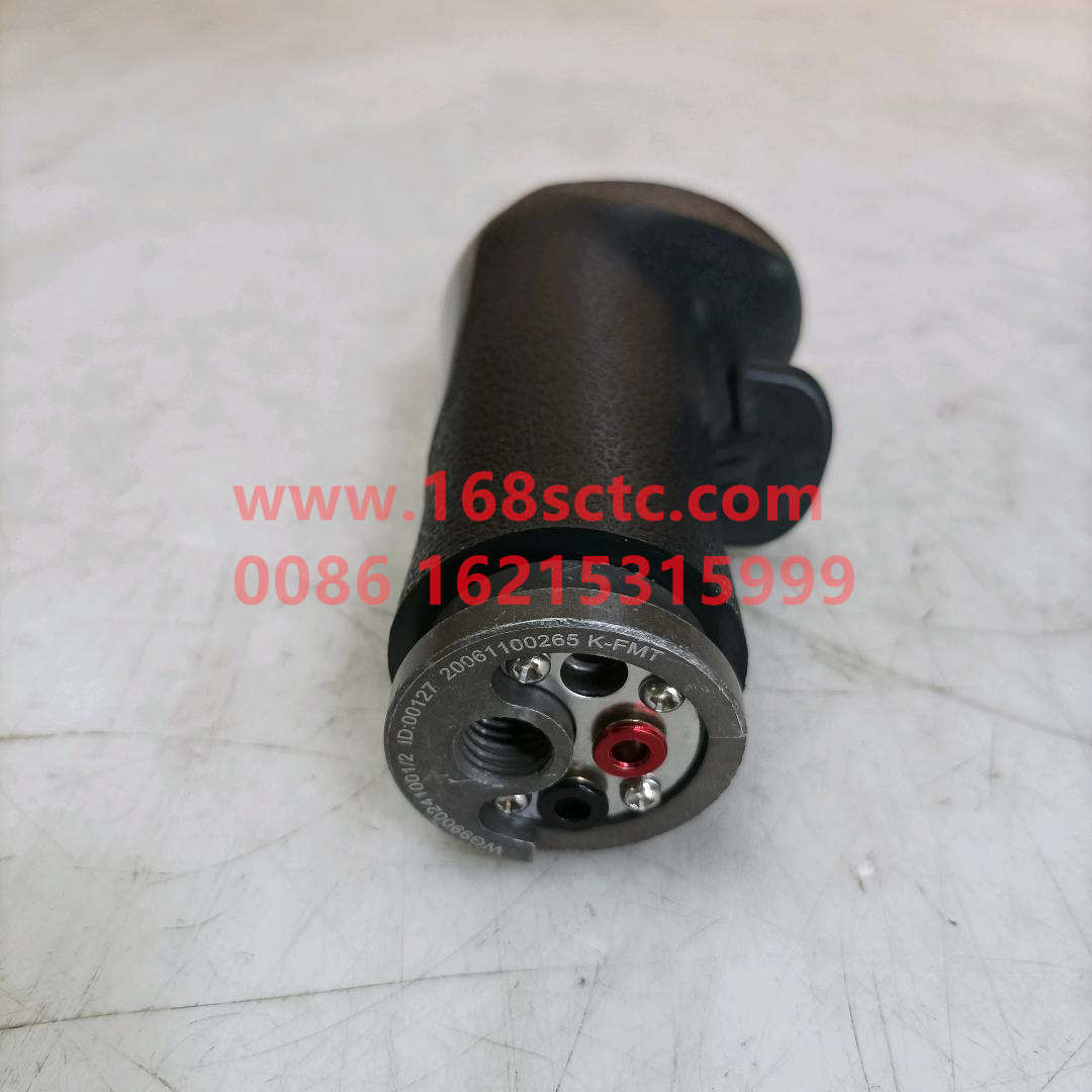 WG9900241001