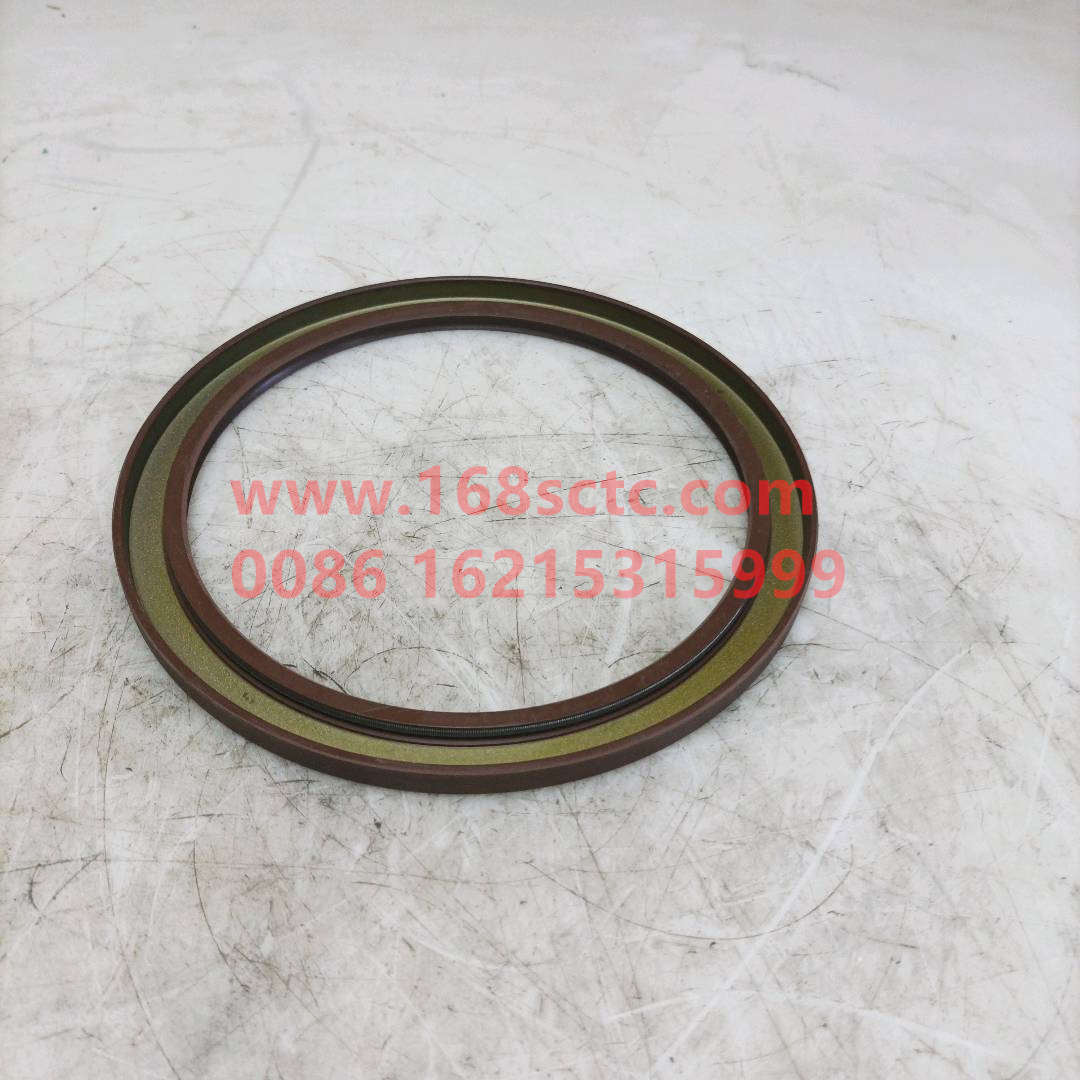 WG9925520223