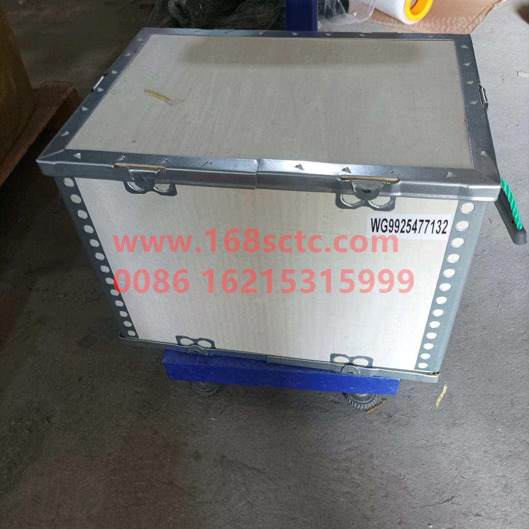 WG9925477132