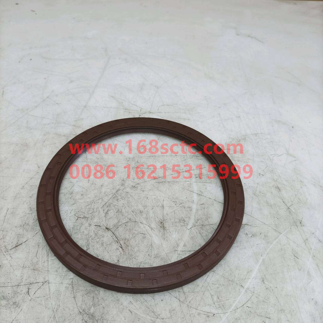 WG9925520223