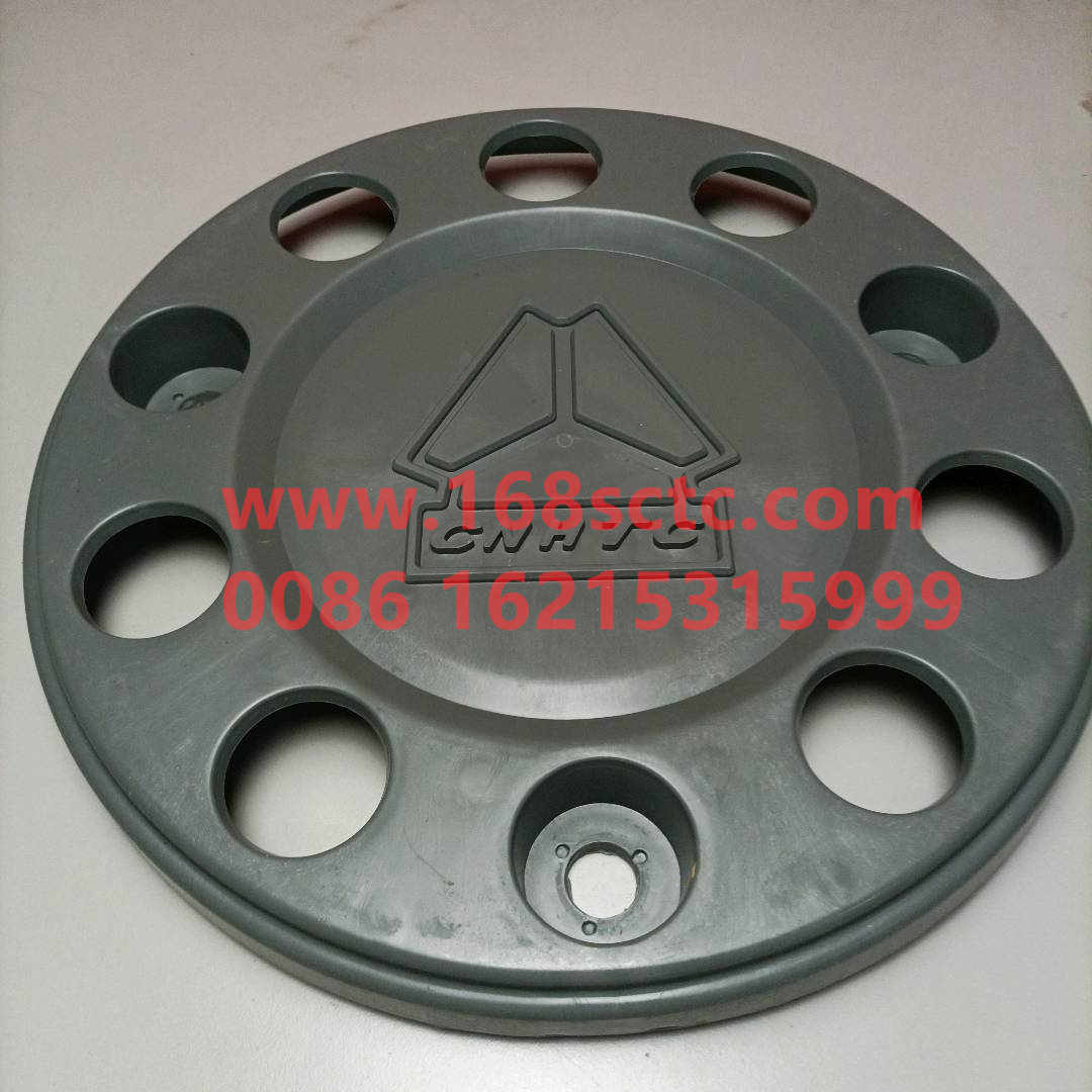 WG9925610030·