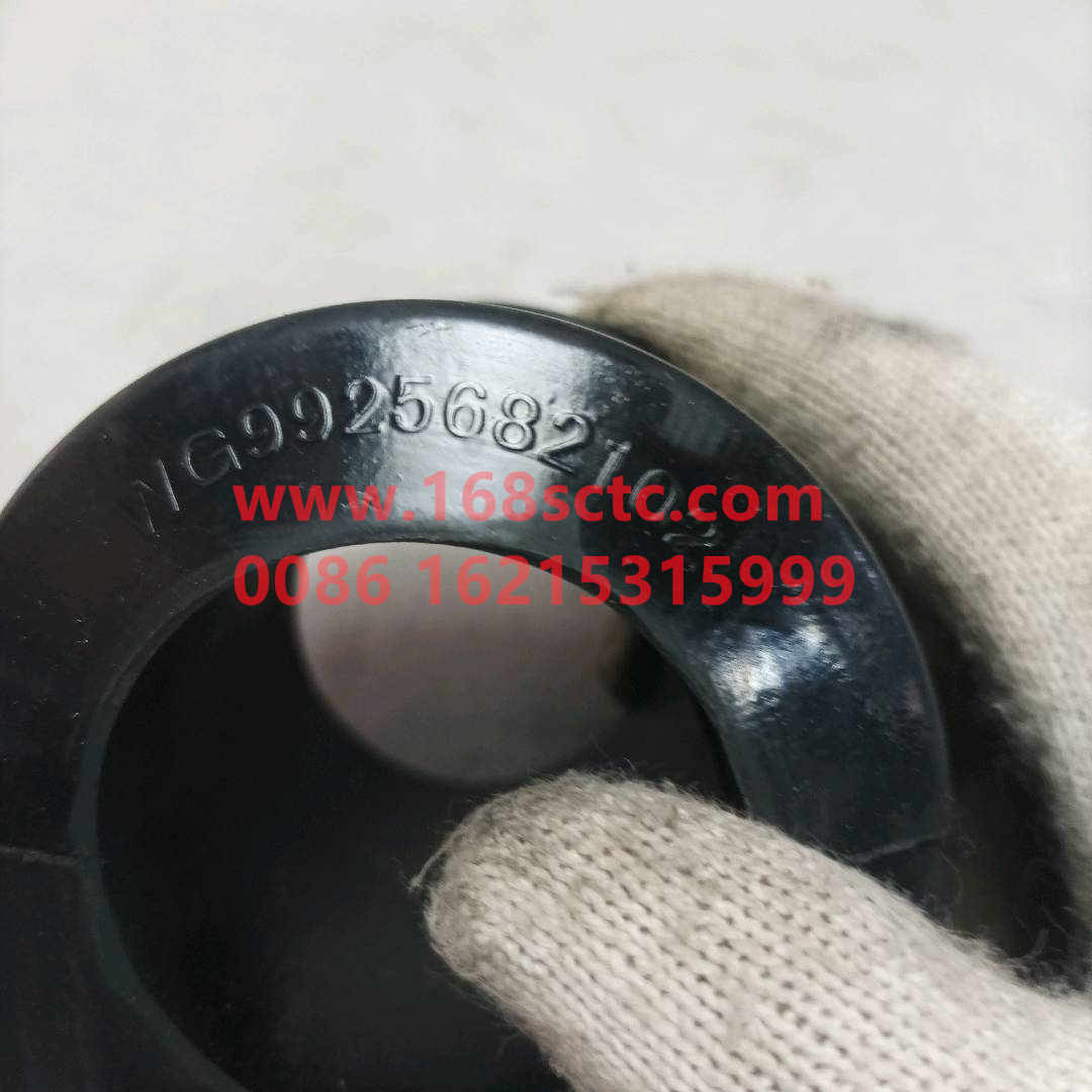 WG9925682102·