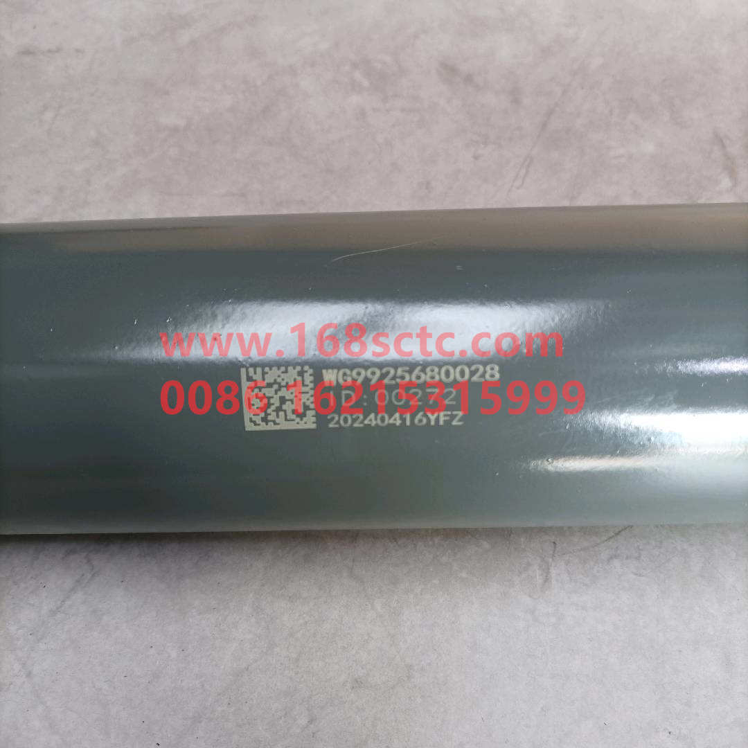 WG9925680028·