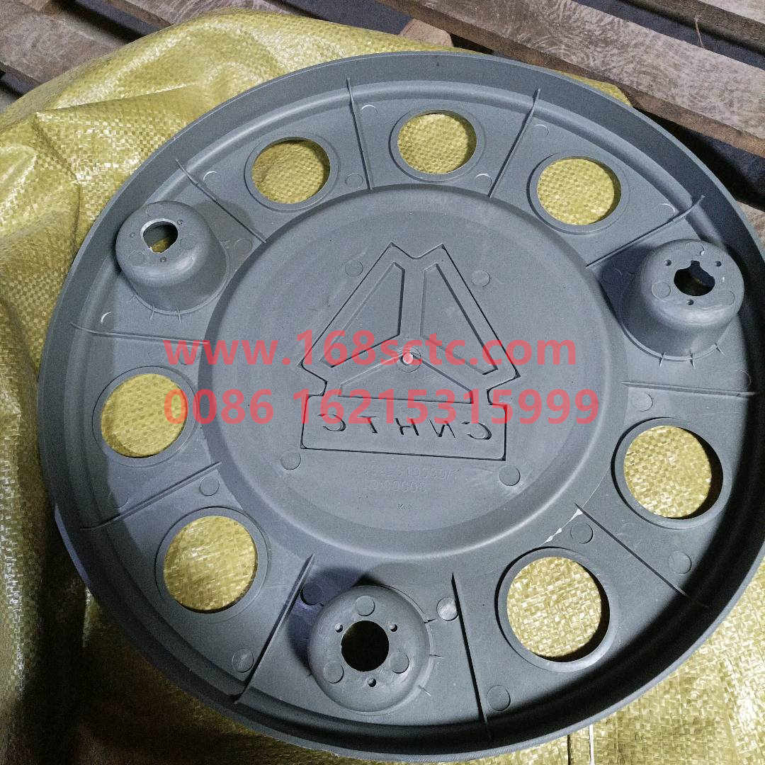 WG9925610030·