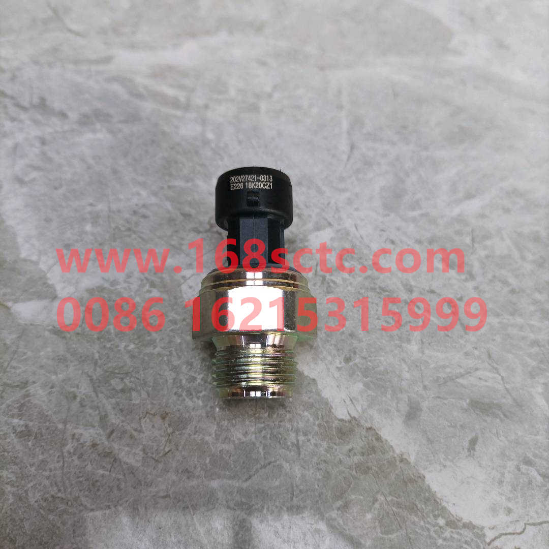 202V27421-0313