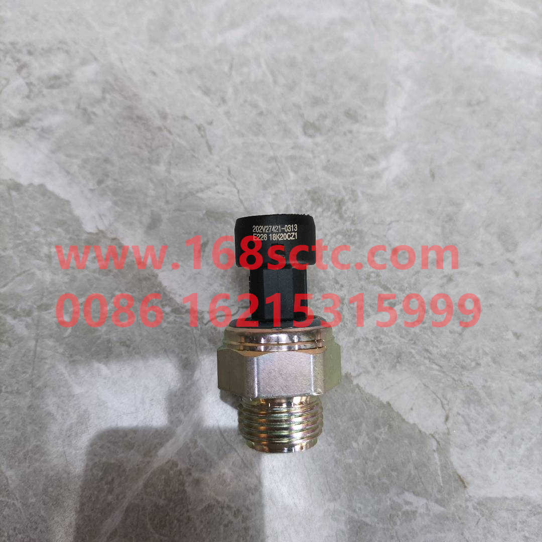 202V27421-0313