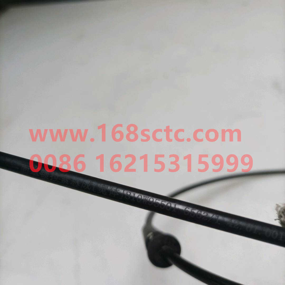 810W95501-6562
