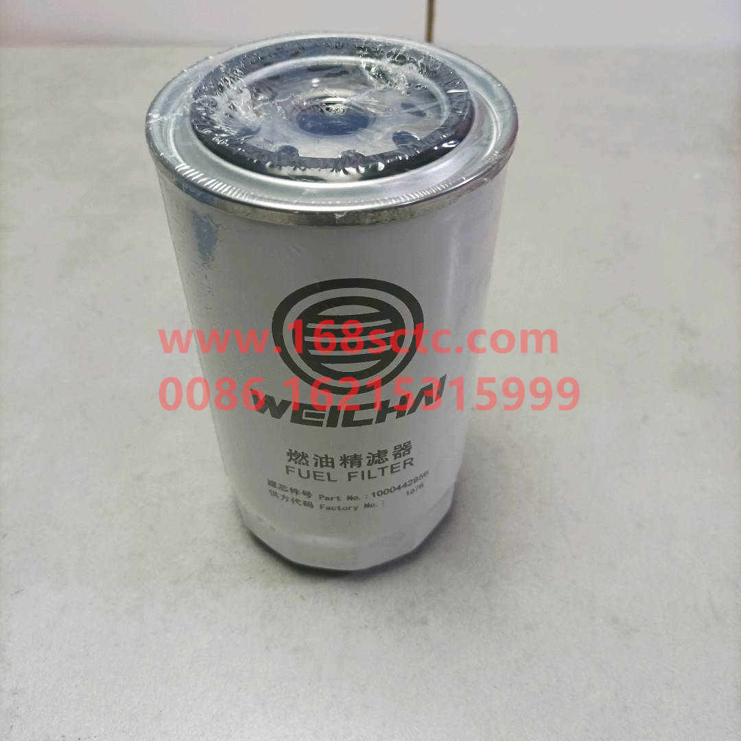 1000442956A