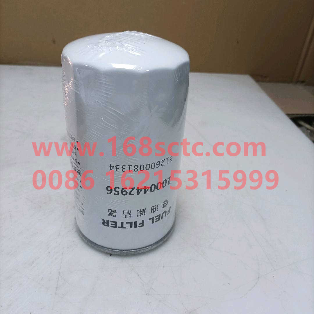 1000442956A