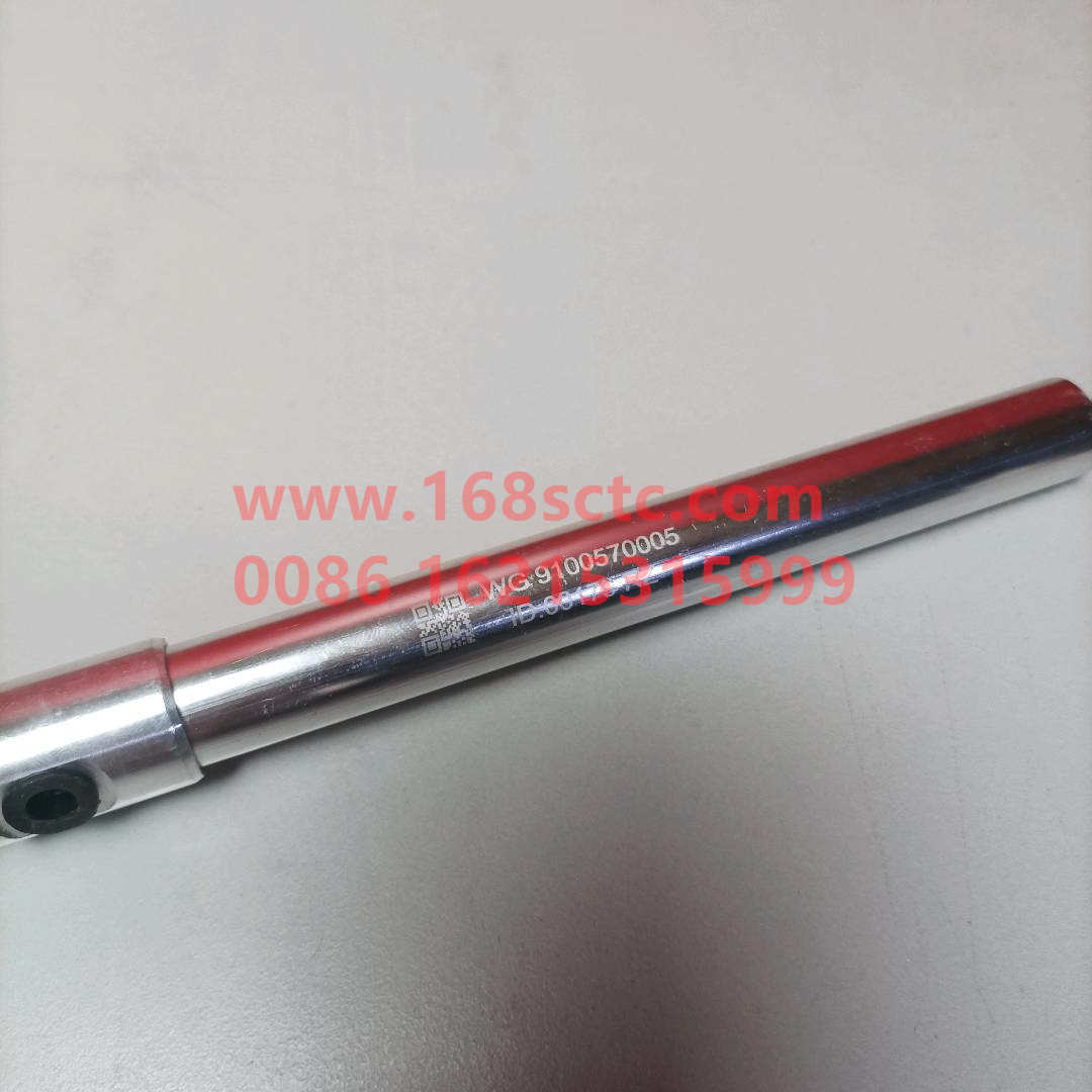 612600081311