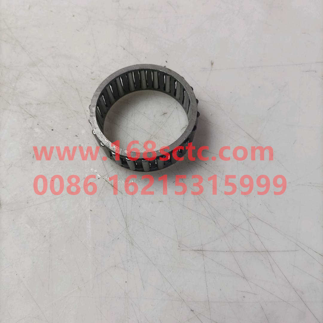 AZ9003395320-OTHERS-Needle bearing K45x53x20-BianSuXiangZhouCheng
