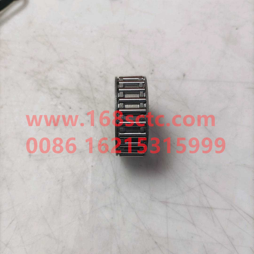 AZ9003395320-OTHERS-Needle bearing K45x53x20-BianSuXiangZhouCheng