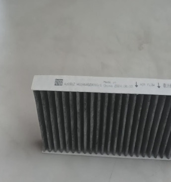 WG1664820010Air Conditioning Filter