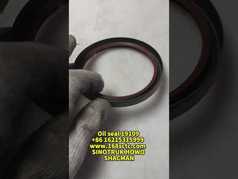 YG9525220931+003/1Oil seal (19109-2) (Faster)