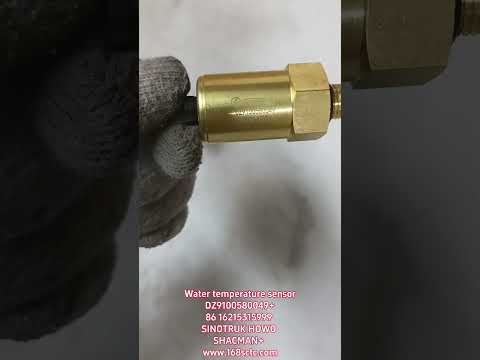 DZ9100580049Water temperature sensor