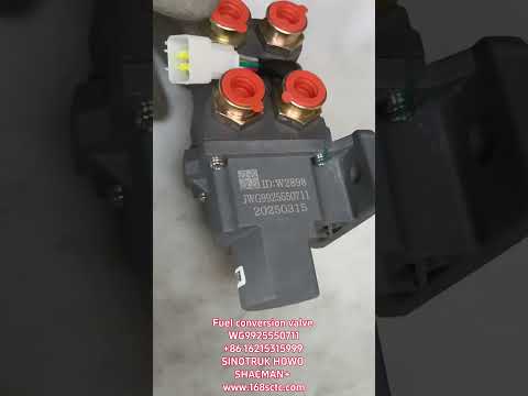 WG9925550711Electric directional valve