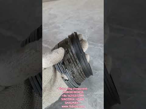 610800030083APiston ring assembly