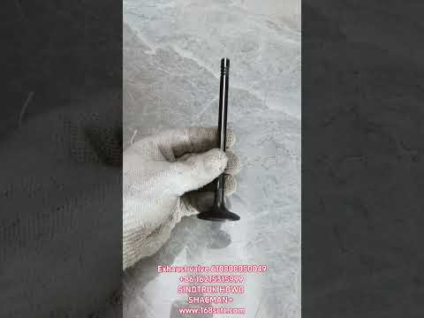 610800050049Intake valves