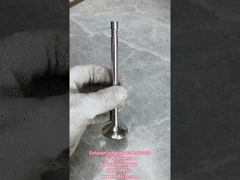 610800050050Exhaust valves