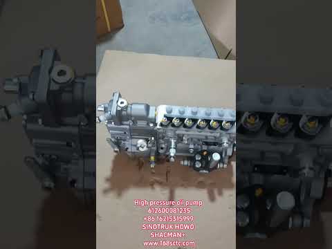 612600081235