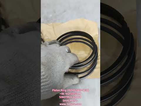 202V02503-6004
