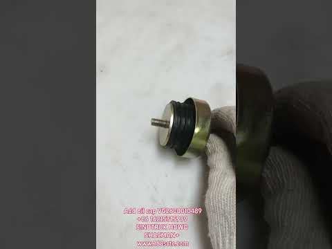 VG2600010489-SINOTRUK HOWO-Fuel pipe cover assemblywith chain-ZhongQiFaDongJiMC11.44-50