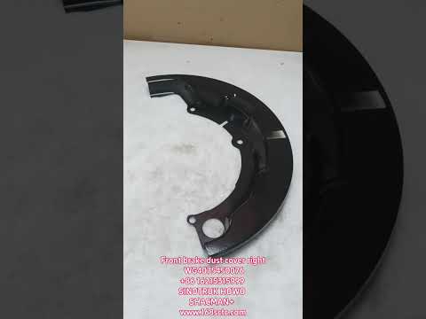 WG4075450076Front brake dust cover (right)