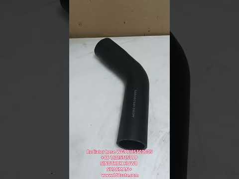WG99185300005