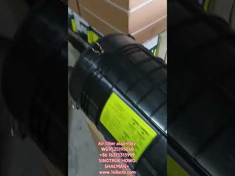 WG9525195060Air filter assembly