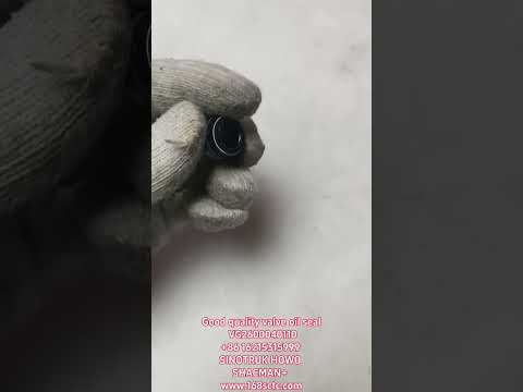 Good quality valve oil seal VG2600040110