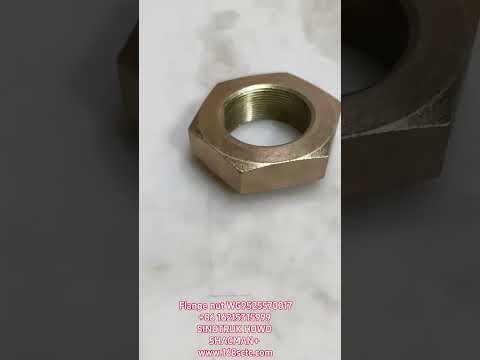 WG9525570017Electronic throttle assembly