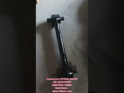 Control arm 2919010-D647M